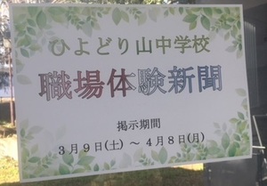 ひよどり1.jpg