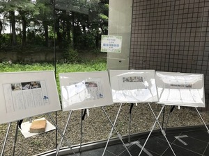 IMG_1782.jpg
